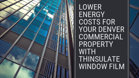 thinsulate window film denver